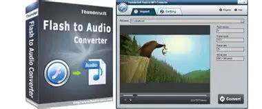 ThunderSoft Flash to Audio