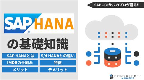 SAP ERP 2025 Full Setup
